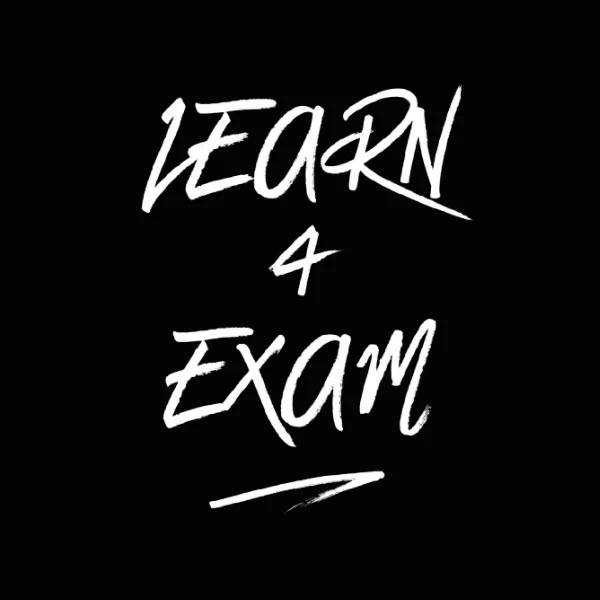 Learn 4 Exam logo